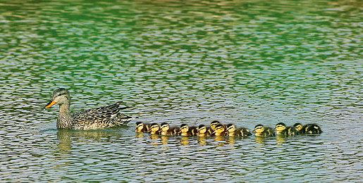 单人探索游戏《鲸葬》Steam页面上线 9月发售